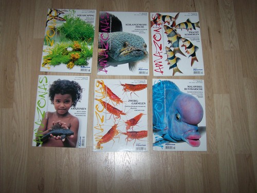 Amazonas magazin - magazin,