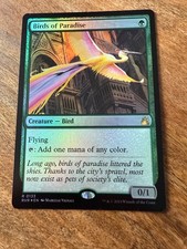 Paradiesvögel / Birds of