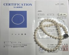 Echte neue Salzwasser