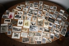 Foto Wk2 Jäger Förster Hessen Konvolut Lot Jagd Politik Uniform Hund Waldmeister