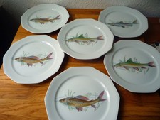 6 Teller mit Fisch Motiv, Speiseteller, Sushi Teller, Fisch Platte, Fischteller