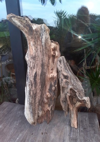 Treibholz schwemmholz - xl,