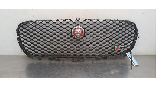 Jaguar pace grill - jaguar, f-pace
