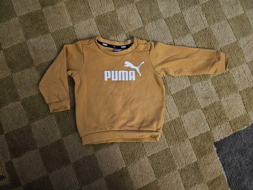 Baby puma pullover - pullover, 74