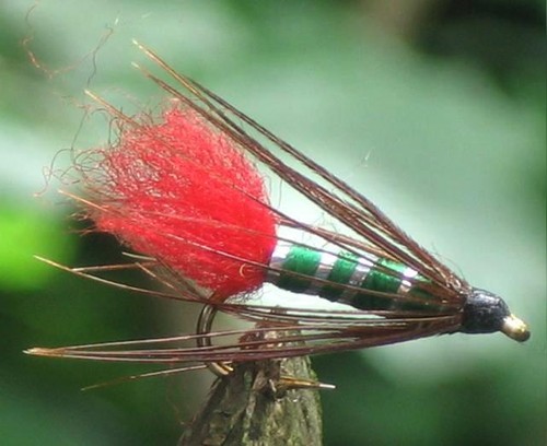 Gilchrist fliegen x - fliegen.,