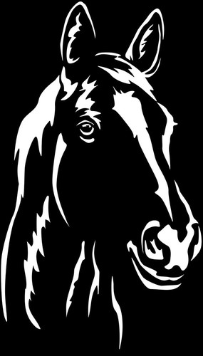 Aufkleber pferd pferdekopf - aufkleber,
