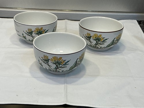 Villeroy boch botanica - villeroy+boch, +botanica+vitro