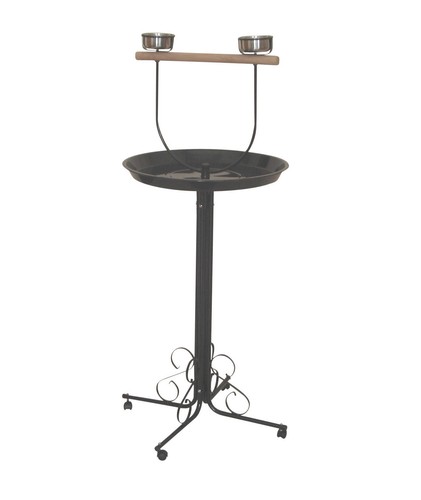 Papageien freisitz - freisitz, f1