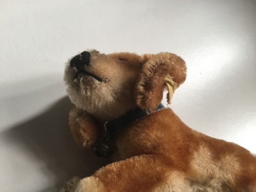Steiff hund dackel - hund,