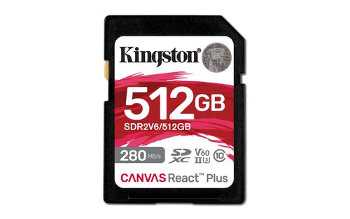 Kingston canvas react plus - kingston,