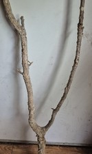 Korkast