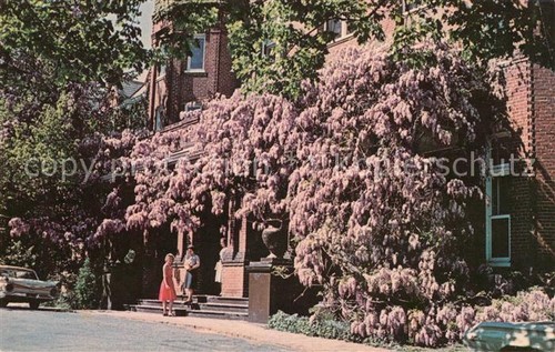 Lynchburg virginia randolph - lynchburg,