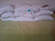 "Daunen-bärenstark " Steppdecke Bettdecke 135x200 cm  weiß