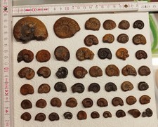 Auswahl bzw. Sammlung von