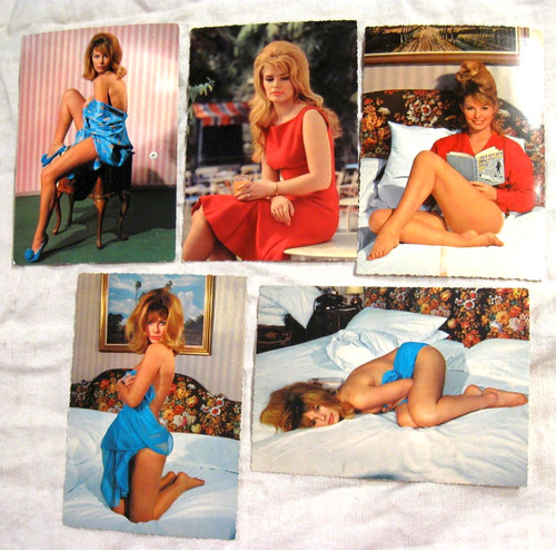 Vivi bach pin - , pin-up