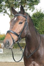 % Harry´s Horse Trense Luxe