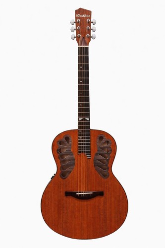 Elektro akustik gitarre - elektro,