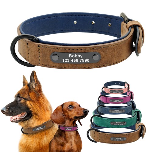 Hundehalsband mit namen - hundehalsband,