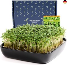 Otaro Kresse Anzuchtschalen