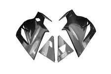 Carbon Seitenverkleidung für