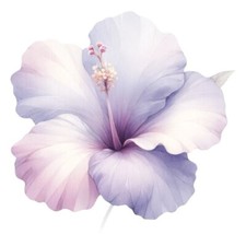 9X9 cm Blume Wandtattoo