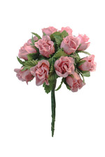 Rosen bund rosa - rosen, blüte