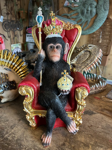 Ornamente für wohnzimmer - für, affe
