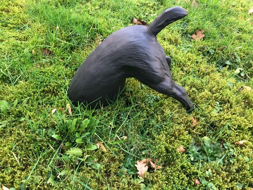 Hund grabend buddelnder hunde - hund,