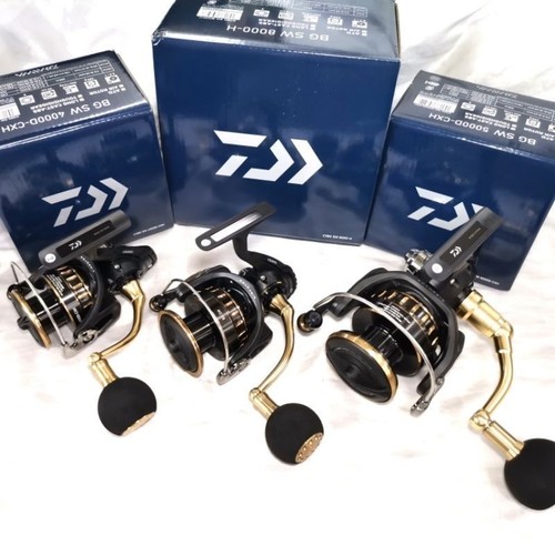 Daiwa sw serie - 23,