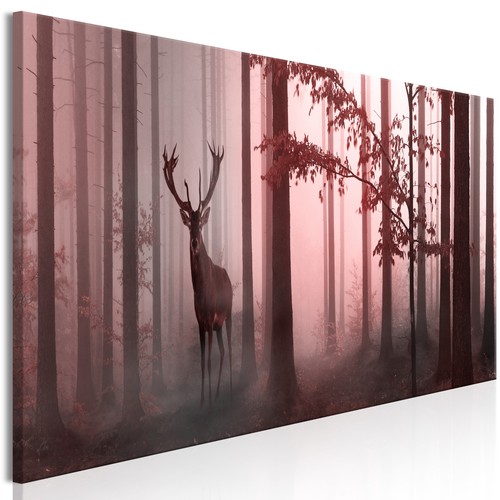 Natur tiere hirsch wald - tiere,