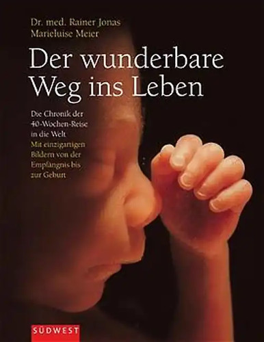 Der wunderbare weg - der, ins