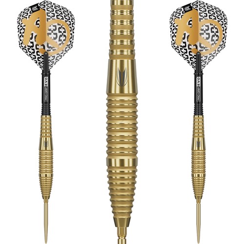 Target bolide envy steel - envy, 05