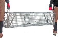 Fuchsfalle Waschbärfalle Kastenfalle Marderfalle Biber Falle 150x34x34  XL