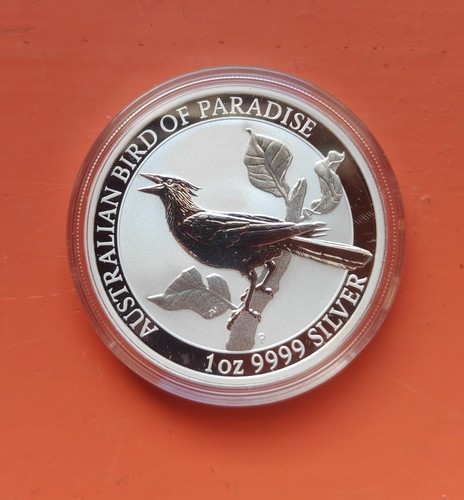 Bird paradise - paradise,
