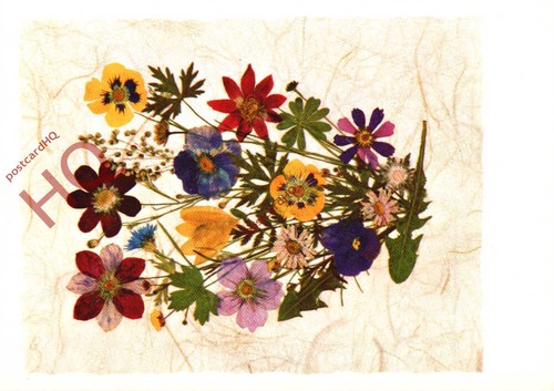 Ansichtskarte blumen - ansichtskarte_,