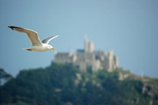 Foto 6x4 Möwe & St. Michael