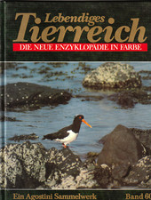 📚 Lebendiges Tierreich *