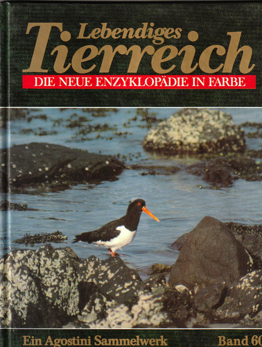 Lebendiges tierreich - 📚,