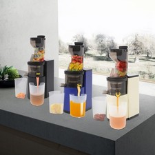 500ml/17,6oz Fruchtentsafter