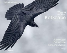 Der Kolkrabe - Totenvogel