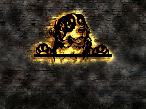Led bild berner sennenhund - led,