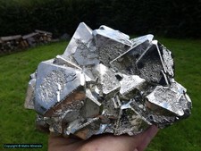 Pyrit Oktaeder, Huanzala Mine Ancash Peru # 4