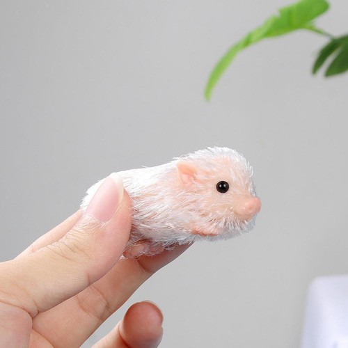 Miniatur reborn schwein - miniatur,