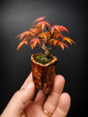 Handmade mame shohin - handmade,
