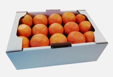 Florida Grapefruit (Star Ruby)