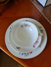 Rosenthal "Helena" Kaffeegedeck, Blumendekor