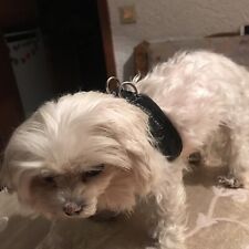 Anione Hundegeschirr Schwarz  XXS Chihuahua oder ähnliches, Halsband 24-28 cm