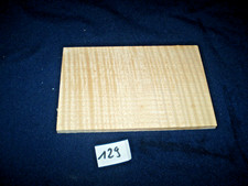 Ahorn geriegel Riegelahorn