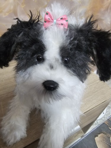 Hund kuscheltier - hund,