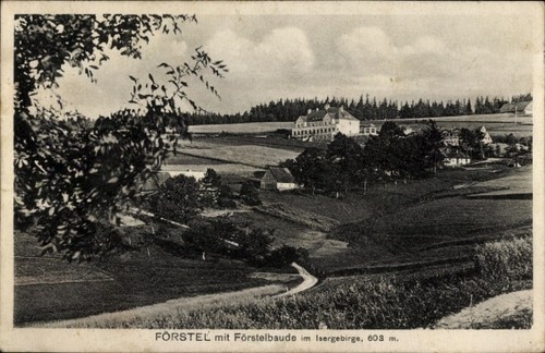 Lasek kolonie förstel - lasek,